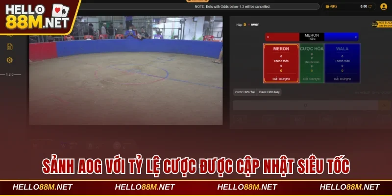 Sảnh AOG với tỷ lệ cược được cập nhật siêu tốc