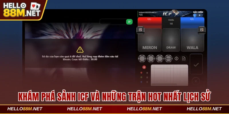 Khám Phá Sảnh ICF Hello88 – Những Trận Gà Hot Nhất Lịch Sử
