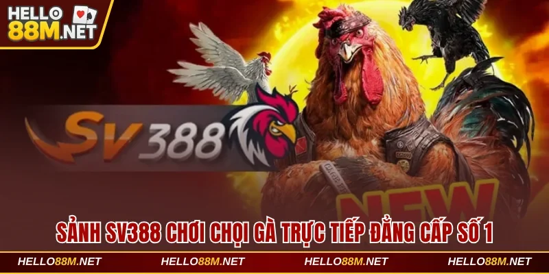 Sảnh SV388